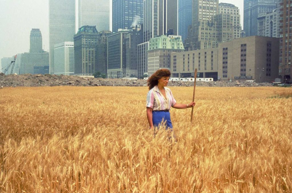 Agnes Denes, "Wheatfield-A Confrontation" (1982), Nueva York. Foto de John McGrall.